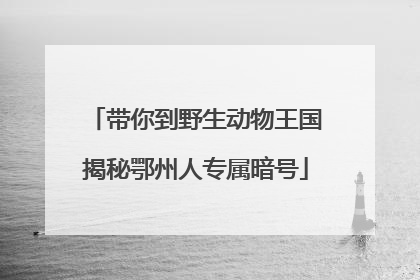 带你到野生动物王国揭秘鄂州人专属暗号