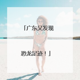 广东又发现恐龙足迹！