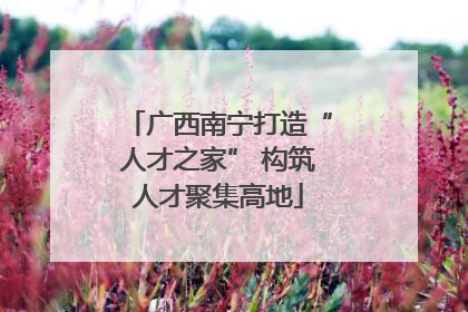 广西南宁打造“人才之家” 构筑人才聚集高地