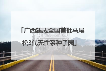 广西建成全国首批马尾松3代无性系种子园
