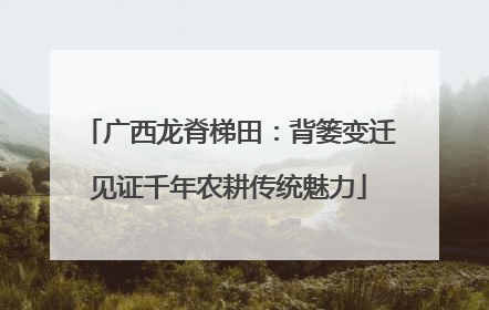 广西龙脊梯田：背篓变迁见证千年农耕传统魅力