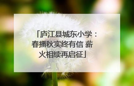庐江县城东小学：春播秋实终有信 薪火相续再启征