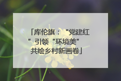 库伦旗：“党建红”引领“环境美” 共绘乡村新画卷