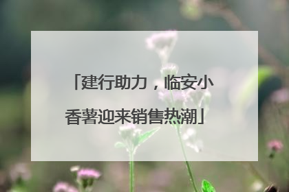 建行助力，临安小香薯迎来销售热潮