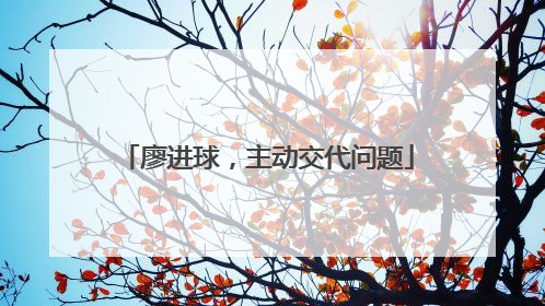 廖进球，主动交代问题