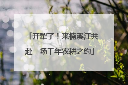 开犁了！来楠溪江共赴一场千年农耕之约