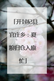 开封杞县官庄乡：夏粮归仓入廪忙