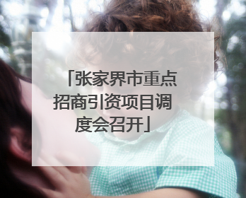 张家界市重点招商引资项目调度会召开