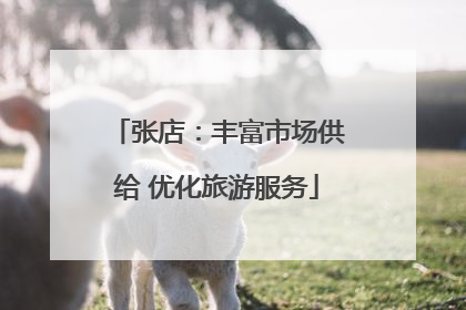 张店：丰富市场供给 优化旅游服务