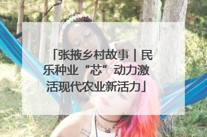 张掖乡村故事｜民乐种业“芯”动力激活现代农业新活力