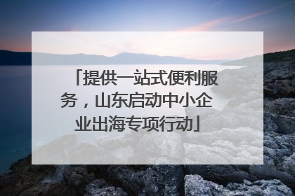提供一站式便利服务，山东启动中小企业出海专项行动