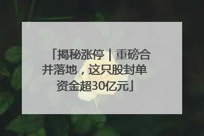 揭秘涨停｜重磅合并落地，这只股封单资金超30亿元