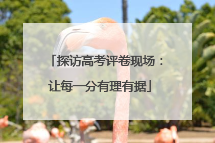 探访高考评卷现场：让每一分有理有据