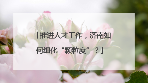 推进人才工作，济南如何细化“颗粒度”？