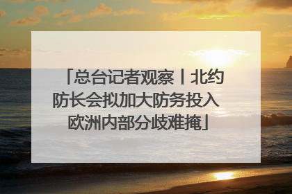 总台记者观察丨北约防长会拟加大防务投入 欧洲内部分歧难掩