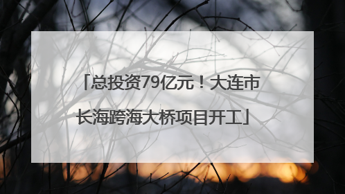 总投资79亿元！大连市长海跨海大桥项目开工