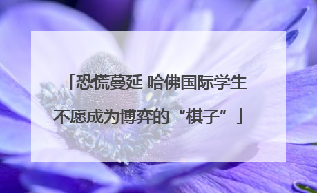 恐慌蔓延 哈佛国际学生不愿成为博弈的“棋子”