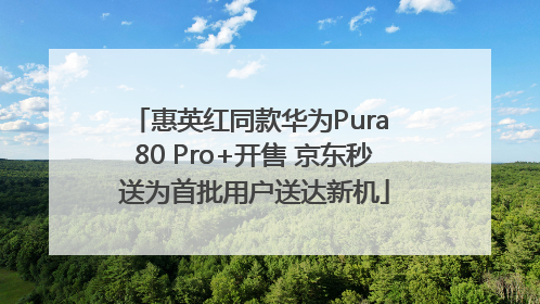 惠英红同款华为Pura 80 Pro+开售 京东秒送为首批用户送达新机