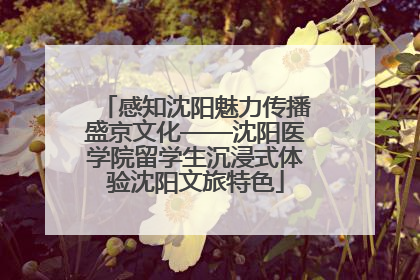 感知沈阳魅力传播盛京文化——沈阳医学院留学生沉浸式体验沈阳文旅特色