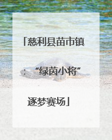 慈利县苗市镇：“绿茵小将”逐梦赛场