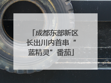 成都东部新区长出川内首串“蓝精灵”番茄