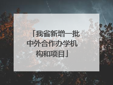 我省新增一批中外合作办学机构和项目