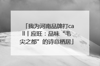 我为河南品牌打call丨应旺：品味“毛尖之都”的诗意栖居