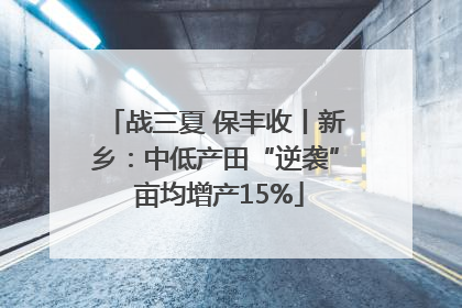 战三夏 保丰收丨新乡：中低产田“逆袭” 亩均增产15%