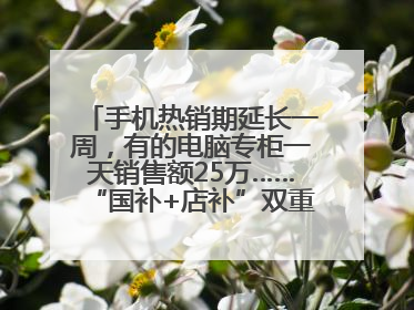 手机热销期延长一周，有的电脑专柜一天销售额25万……“国补+店补”双重优惠点燃德州“考后经济”