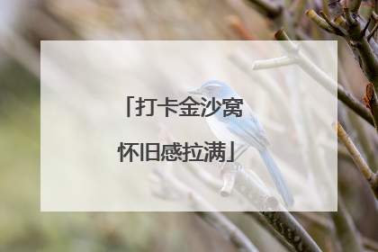 打卡金沙窝 怀旧感拉满