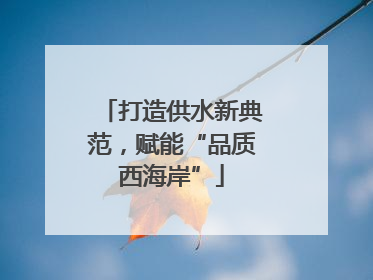 打造供水新典范，赋能“品质西海岸”