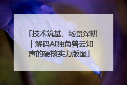 技术筑基、场景深耕｜解码AI独角兽云知声的硬核实力版图