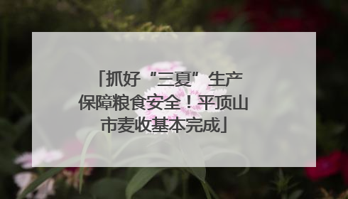 抓好“三夏”生产 保障粮食安全！平顶山市麦收基本完成