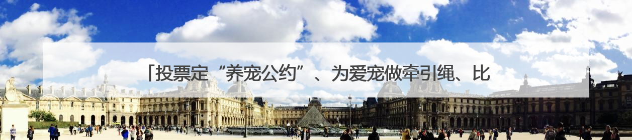 投票定“养宠公约”、为爱宠做牵引绳、比拼谁家人宠最默契，这场活动有趣更有意义