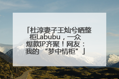 杜淳妻子王灿兮晒整柜Labubu，一众爆款IP齐聚！网友：我的 “梦中情柜”