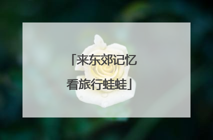 来东郊记忆 看旅行蛙蛙