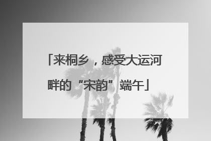 来桐乡，感受大运河畔的“宋韵”端午