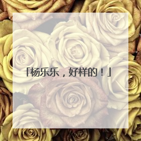 杨乐乐，好样的！