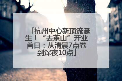 杭州中心新顶流诞生！“去茶山”开业首日：从清晨7点卷到深夜10点