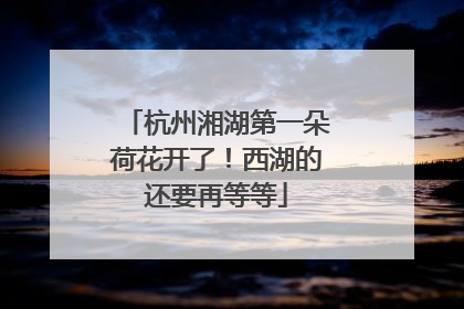 杭州湘湖第一朵荷花开了！西湖的还要再等等