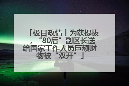 极目政情丨为获提拔，“80后”副区长送给国家工作人员巨额财物被“双开”