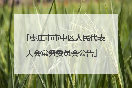枣庄市市中区人民代表大会常务委员会公告