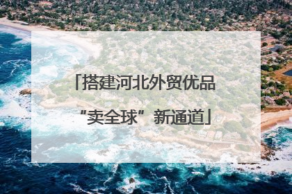 搭建河北外贸优品“卖全球”新通道