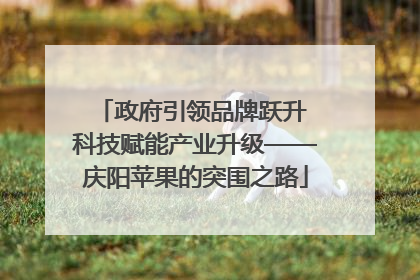 政府引领品牌跃升 科技赋能产业升级——庆阳苹果的突围之路