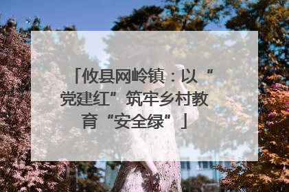 攸县网岭镇：以“党建红”筑牢乡村教育“安全绿”