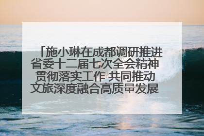 施小琳在成都调研推进省委十二届七次全会精神贯彻落实工作 共同推动文旅深度融合高质量发展 加快打造支柱产业民生产业幸福产业