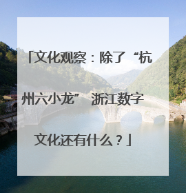 文化观察：除了“杭州六小龙” 浙江数字文化还有什么？