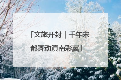 文旅开封｜千年宋都舞动滇南彩翼