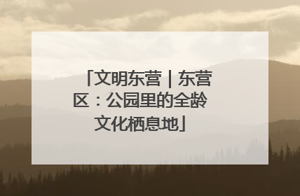 文明东营｜东营区：公园里的全龄文化栖息地