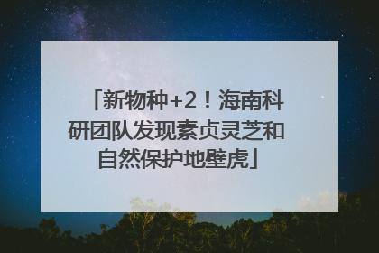 新物种+2！海南科研团队发现素贞灵芝和自然保护地壁虎